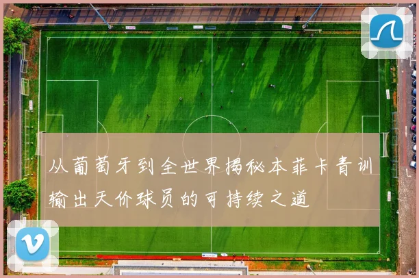 从葡萄牙到全世界揭秘本菲卡青训输出天价球员的可持续之道