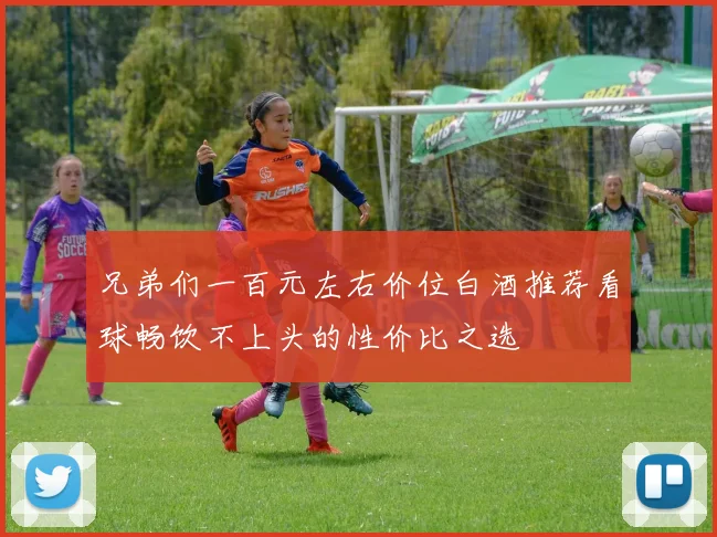 兄弟们一百元左右价位白酒推荐看球畅饮不上头的性价比之选